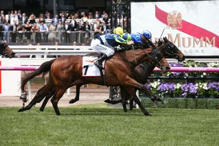 Luvaluva (NZ) in her outstanding win in the Group 2 GH Mumm Wakeful Stakes